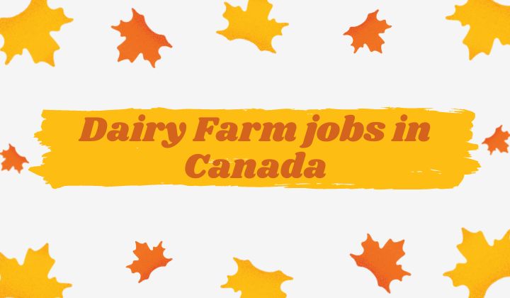 Dairy Farm jobs in Canada