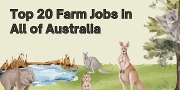 Top 20 Farm Jobs in All of Australia