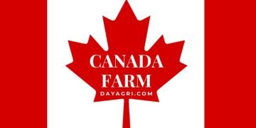 Canada Hiring Foreign Workers