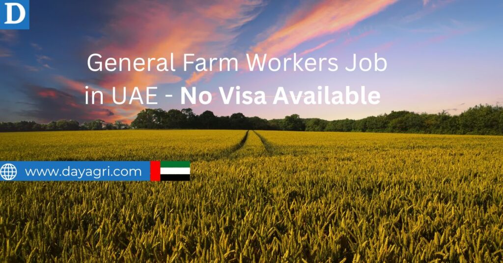 Farm Hand Farm Labour