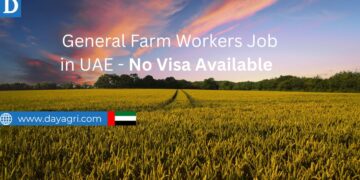 Farm Hand Farm Labour