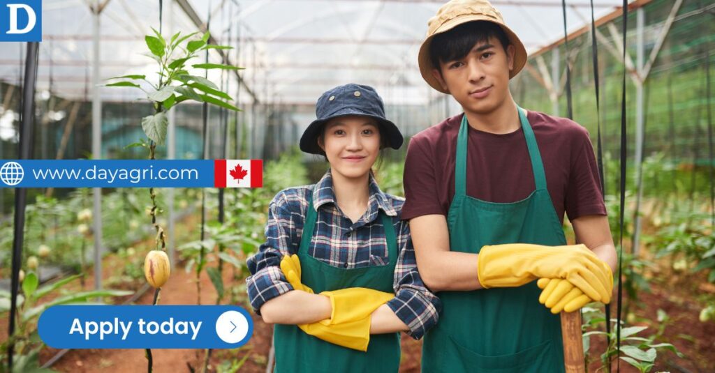 Greenhouse Worker Job in Canada – LMIA Approved for Foreigners