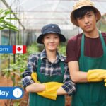Greenhouse Worker Job in Canada – LMIA Approved for Foreigners