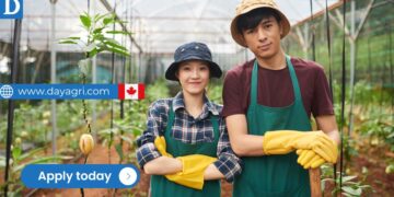 Greenhouse Worker Job in Canada – LMIA Approved for Foreigners