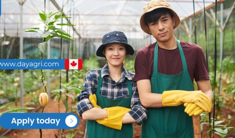 Greenhouse Worker Job in Canada – LMIA in Process!