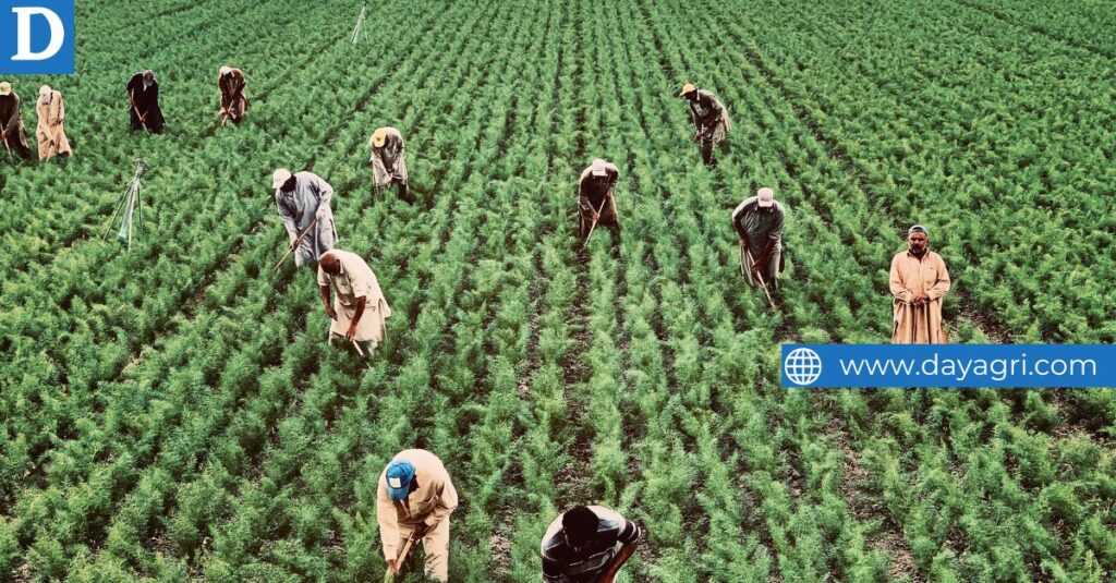 Now Hiring General Laborers for the Upcoming Harvest Season