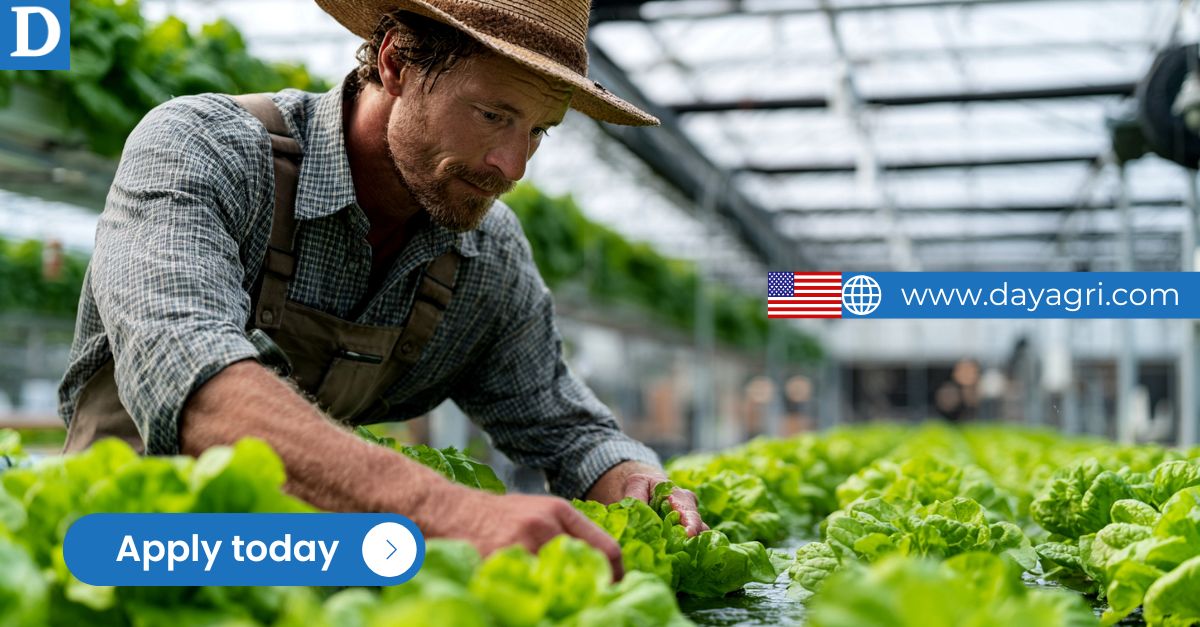 Vegetable Farm Workers - Seasonal Job in New Jersey USA