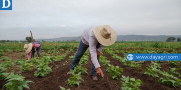 Farm Work Near me in USA