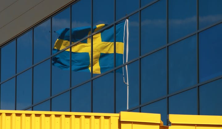 Work Permits for Berry Pickers in Sweden