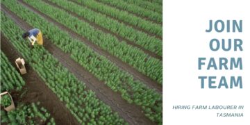 Farm Labourer Job in Tasmania