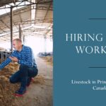 Farm Worker - Livestock in Prince Edward Canada For Foreigners with LMIA