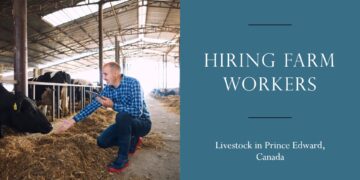 Farm Worker - Livestock in Prince Edward Canada For Foreigners with LMIA