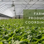 Farm and Production Coordinator in Australia