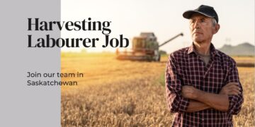 Harvesting Labourer Job in Saskatchewan For Foreigners with LMIA