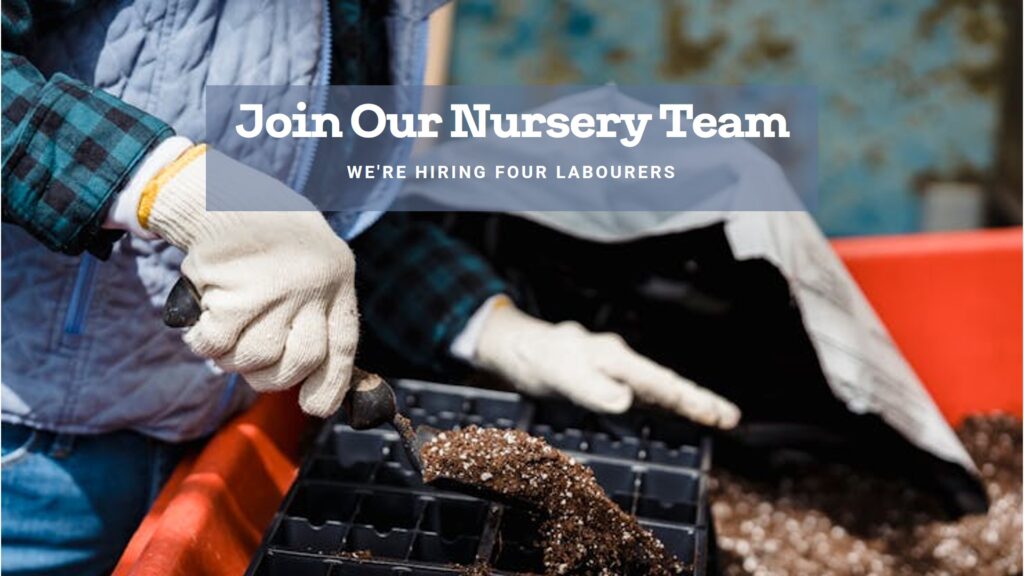 Nursery Labourer Job in Canada For Foreigners with LMIA