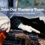 Nursery Labourer Job in Canada For Foreigners with LMIA