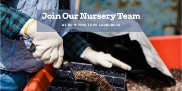 Nursery Labourer Job in Canada For Foreigners with LMIA