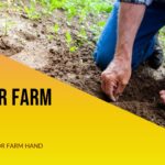 Senior Farm Hand
