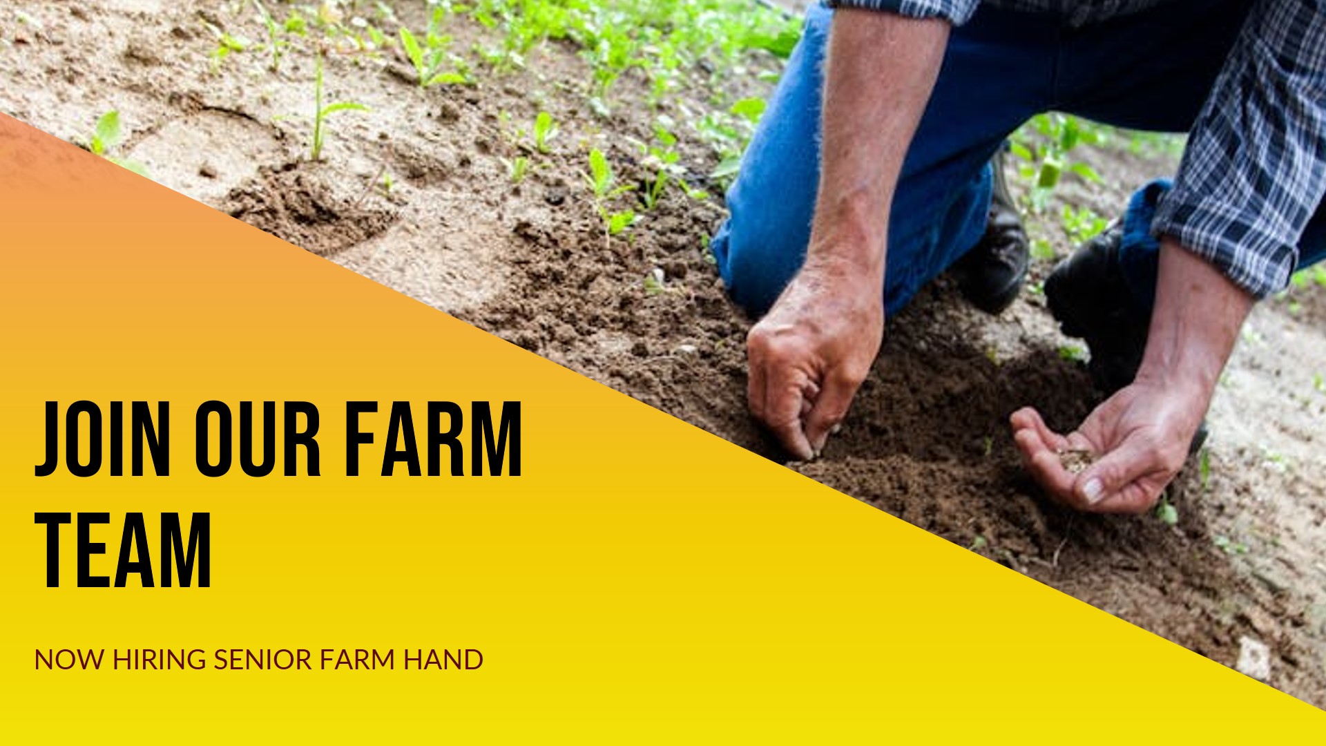 Senior Farm Hand