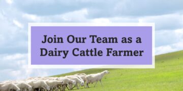 Dairy Cattle Farmer Job in Victoria