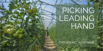 Picking Leading Hand Tatura VIC, Australia