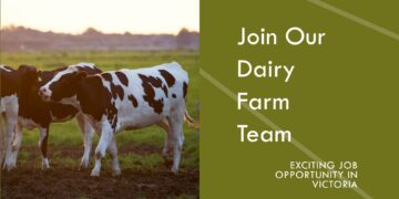 Dairy Farm Job in Victoria