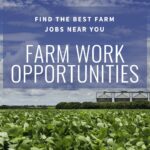 Farm Work Near me Australia