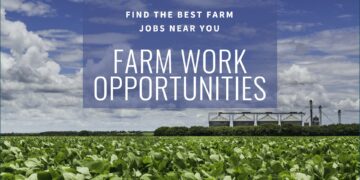 Farm Work Near me Australia