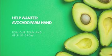 Avocado Farm Hand
