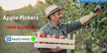 Apple Pickers Job in Canada - LMIA Approved for Foreign Workers