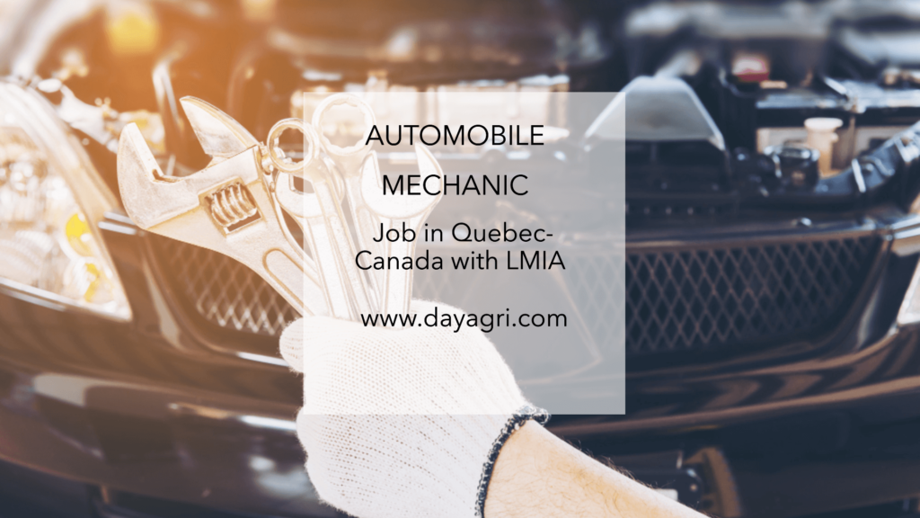 Automobile Mechanic Job in Quebec-Canada For Foreigners with LMIA