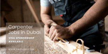 Carpenter Job in Dubai (Visa Sponsorship Available)