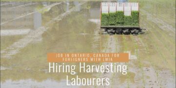 Harvesting Labourers Job in Ontario - Canada For Foreigners with LMIA