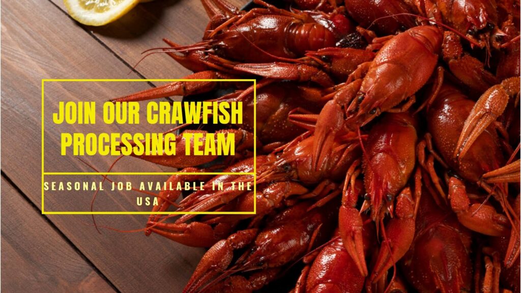 Crawfish Processor – Seasonal Job in USA
