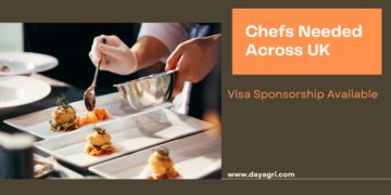 Chefs Needed Across UK - Visa Sponsorship Available