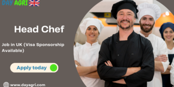 Head Chef Needed in UK with Visa Sponsorship