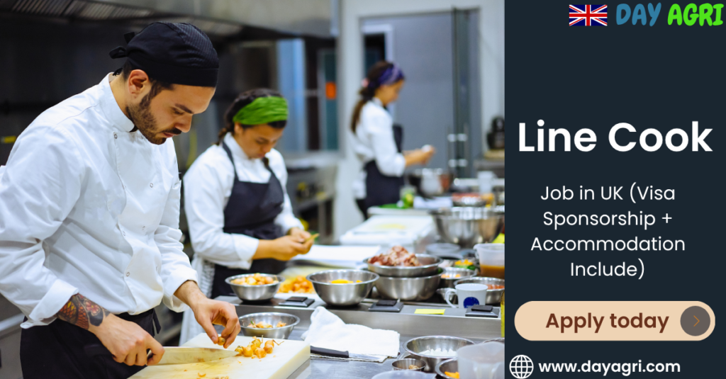Line Cook Job in UK – Visa Sponsorship + Accommodation Include