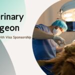 Veterinary Surgeon Job in Beccles – UK (Visa Sponsorship Available)