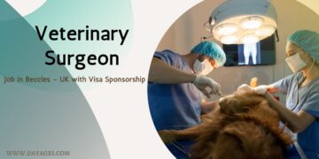 Veterinary Surgeon Job in Beccles – UK (Visa Sponsorship Available)