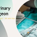 Veterinary Surgeon Job in Leighton Buzzard - UK (Visa Sponsorship Available)