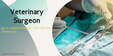 Veterinary Surgeon Job in Leighton Buzzard - UK (Visa Sponsorship Available)
