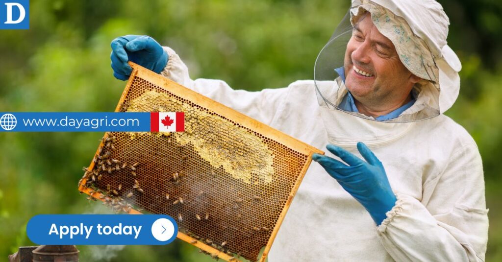 Apiary Technician Job in Canada - LMIA Approved for Foreigners