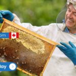 Apiary Technician Job in Canada - LMIA Approved for Foreigners