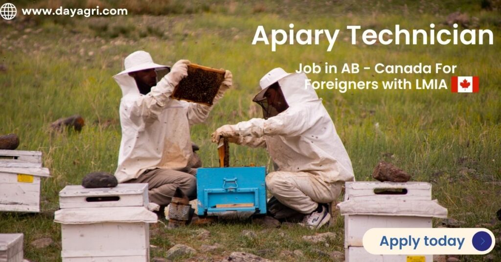 Apiary Technician Job in AB - Canada For Foreigners with LMIA