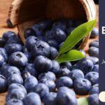 Blueberry Pickers Needed in NSW with Visa Available