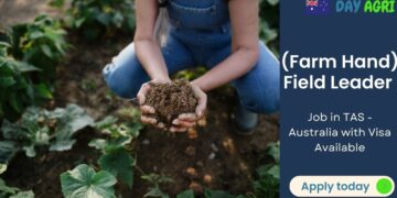(Farm Hand) Field Leader Job in TAS - Australia with Visa Available