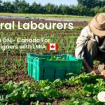 General Labourers Needed in ON - Canada For Foreigners with LMIA