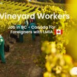 Vineyard Workers Required in BC - Canada For Foreigners with LMIA