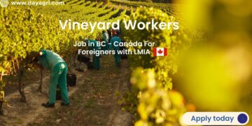 Vineyard Workers Required in BC - Canada For Foreigners with LMIA