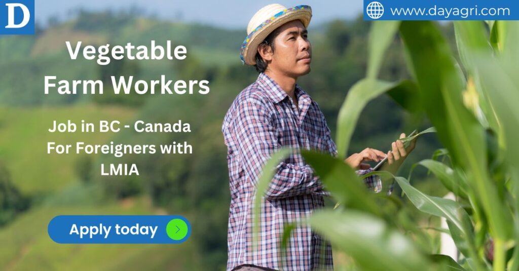 30 Vegetable Farm Workers Needed in BC - Canada For Foreigners with LMIA